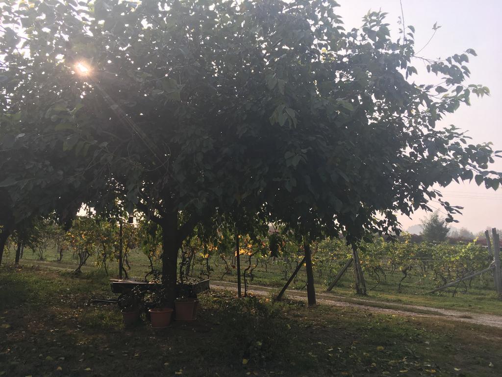Le Magnolie Agriturismo Verolanuova Esterno foto