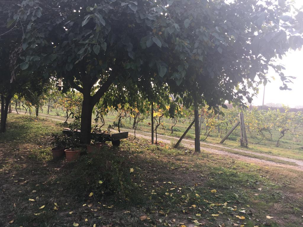 Le Magnolie Agriturismo Verolanuova Esterno foto