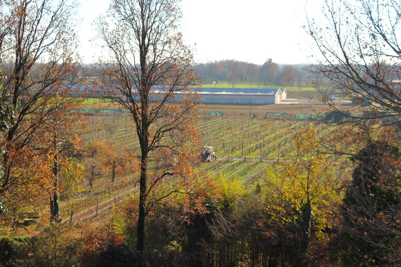 Le Magnolie Agriturismo Verolanuova Esterno foto